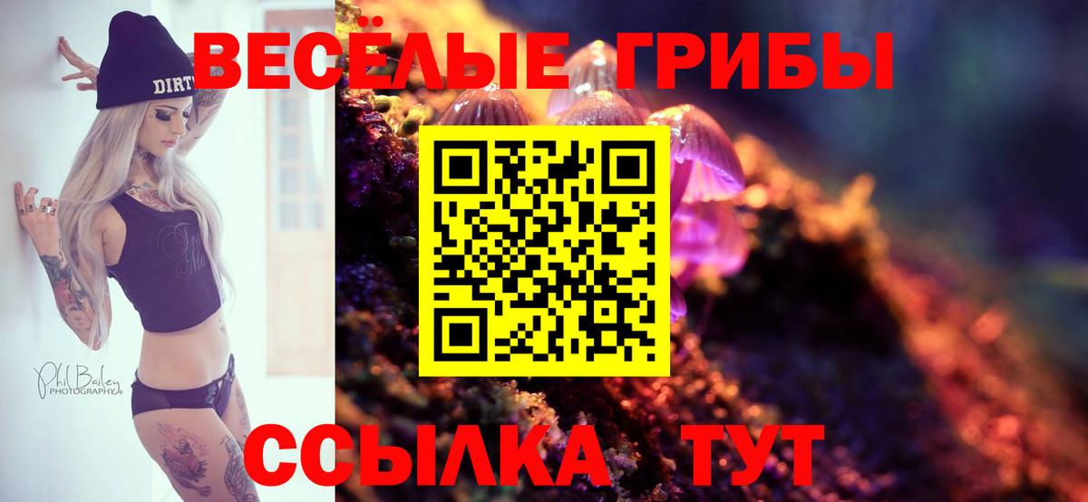 Псилоцибиновые грибы Psilocybe Радужный